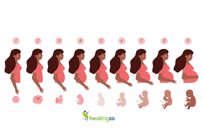 Decreased Fetal Movement in During Pregnancy